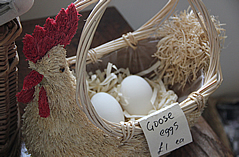 eggs for sale stewarton