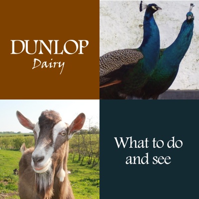 Dunlop Dairy